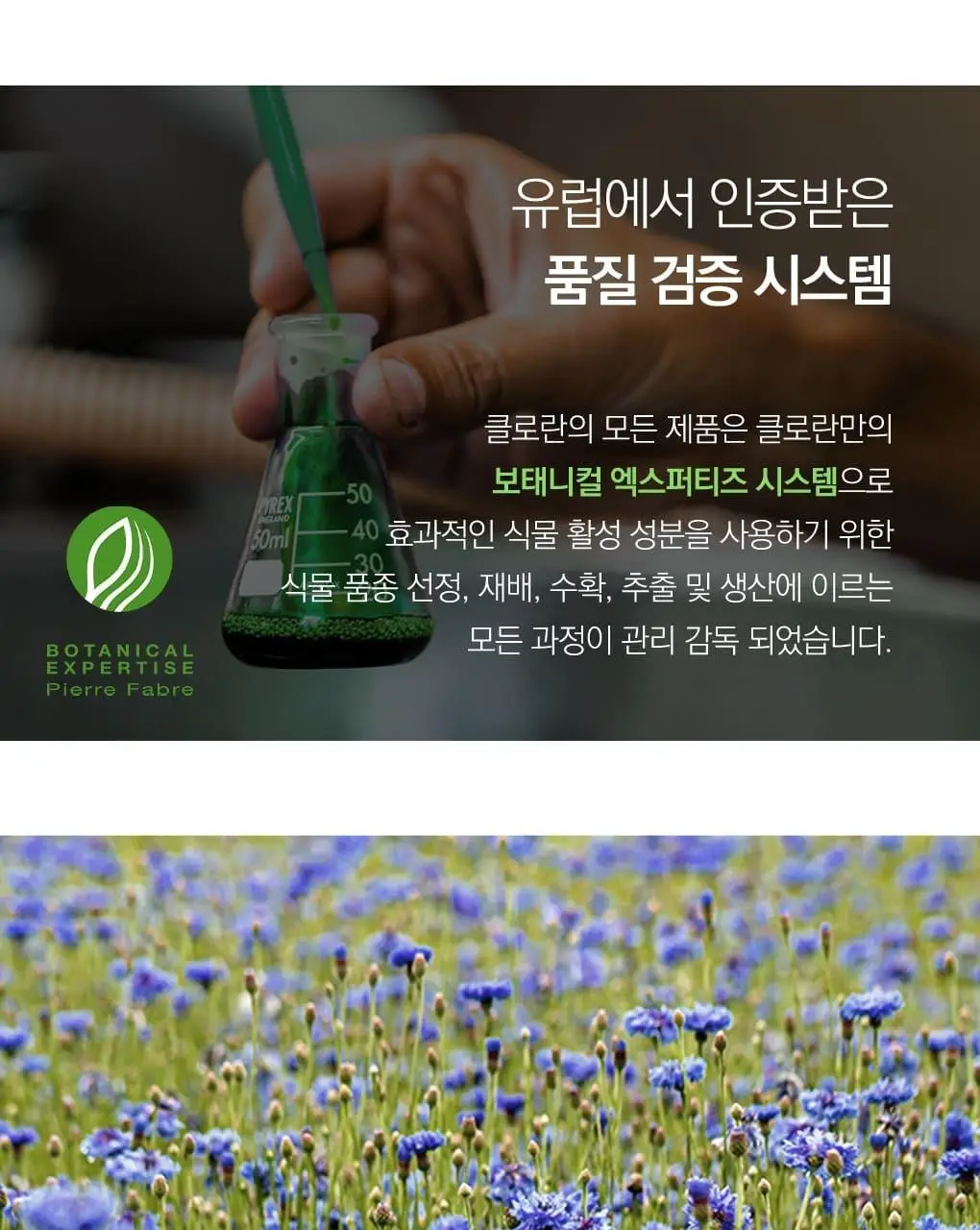 [손상 & 건조모발] 클로란 망고버터 데미지 리페어 샴푸 400ml 상세페이지 16